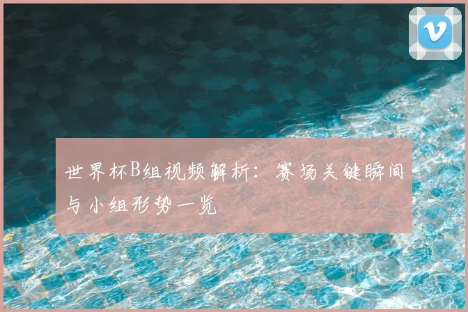 世界杯B组视频解析:赛场关键瞬间与小组形势一览