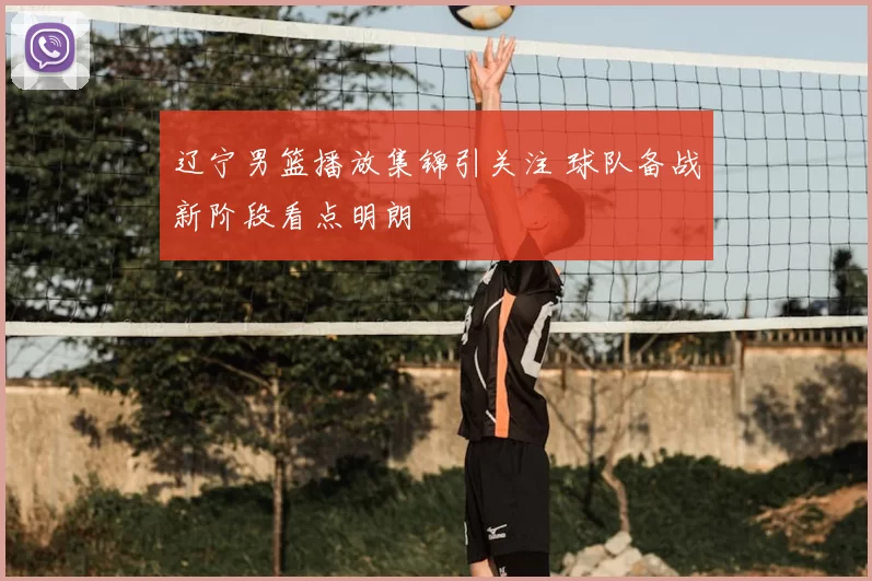 辽宁男篮播放集锦引关注 球队备战新阶段看点明朗