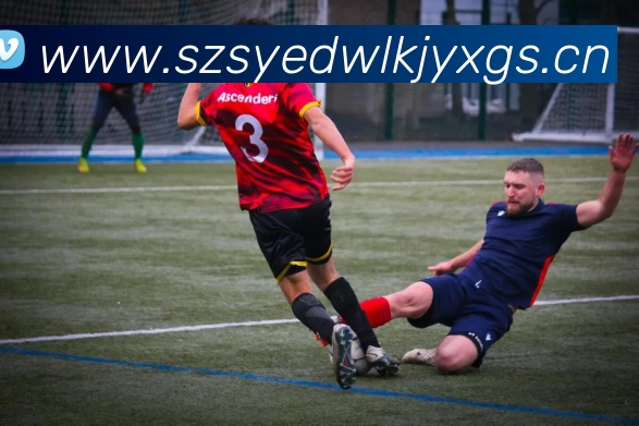 多媒体互动体验